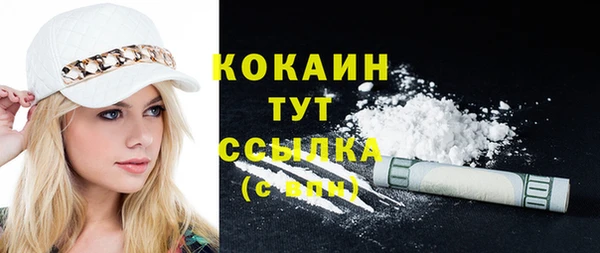 сатива Верея