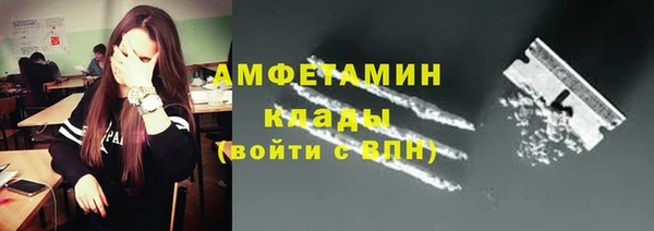 сатива Верея