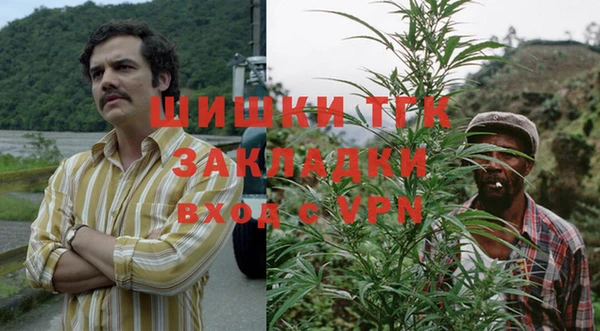 сатива Верея